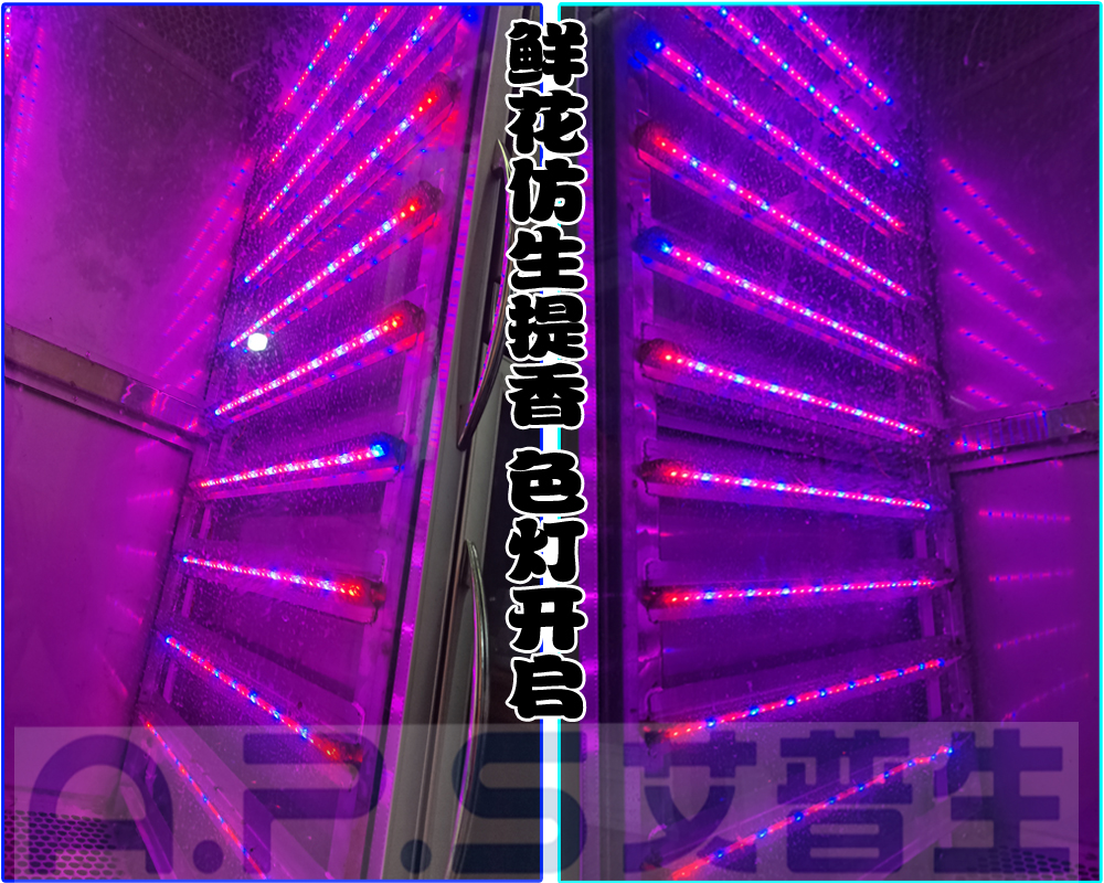 12、植物鮮花低溫萃取精華液專用設(shè)備=鮮花提香色燈開啟.jpg