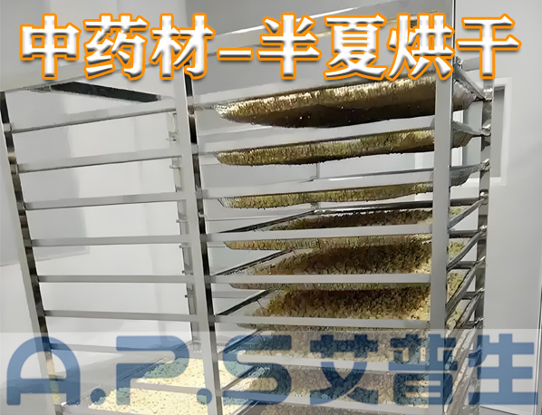 中藥材半夏烘干，除了傳統(tǒng)的烘干方法，首選推薦使用艾普生空氣能熱泵烘干機