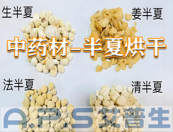 艾普生環(huán)境科技：半夏的烘干方法有哪些？哪一種烘干效果更好？